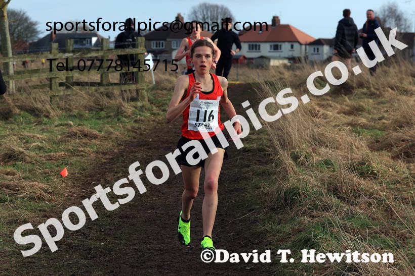 Senior Womens 2024 Northern Cross Country Champs., Sedgefield. Photo: David T. Hewitson/Sports for All Pics